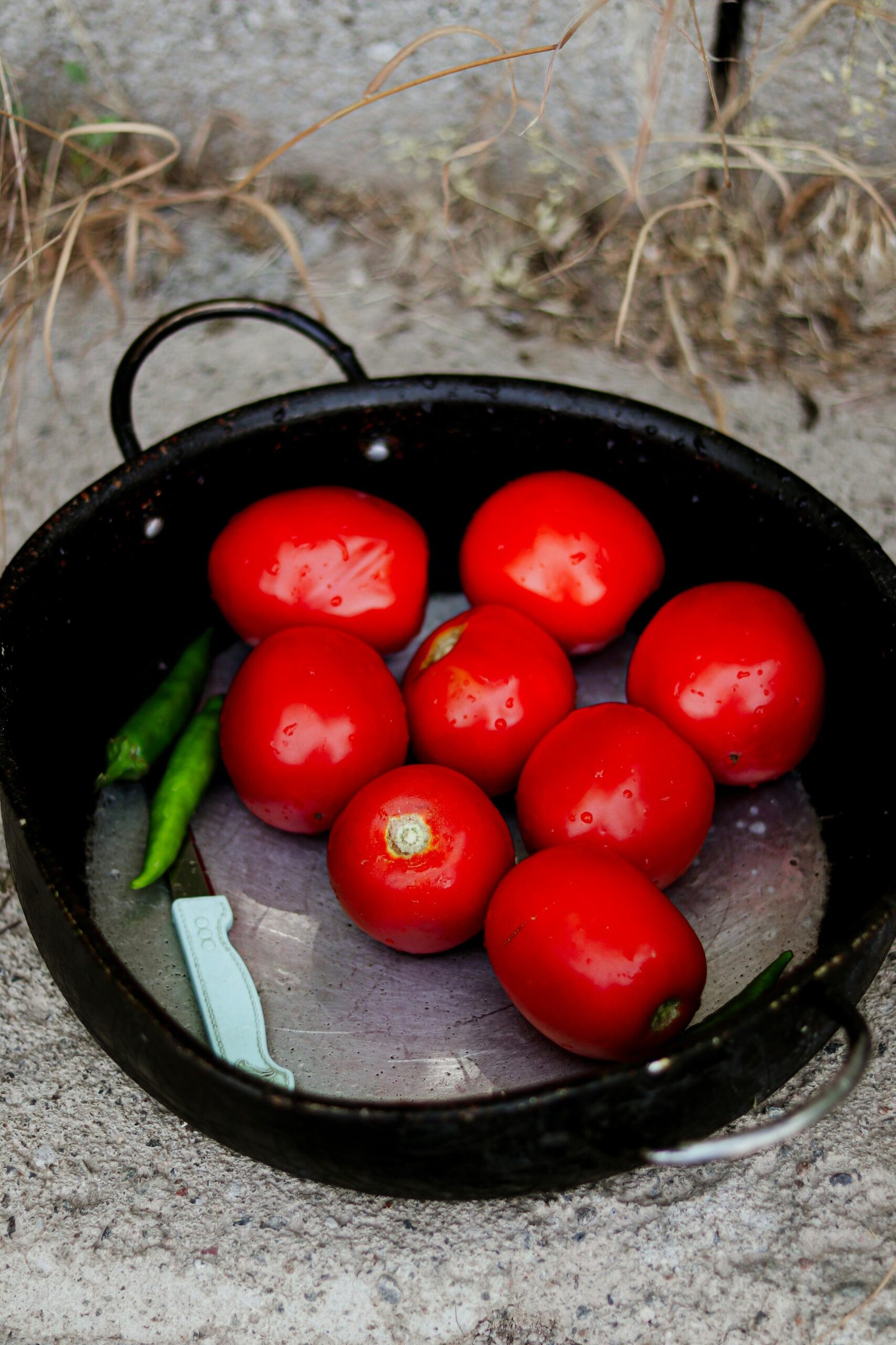 pexels klaus nielsen 6294173